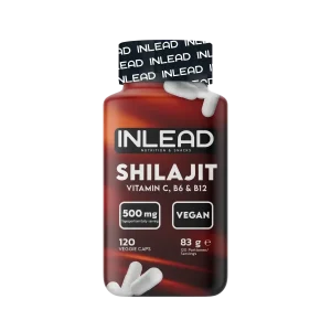 INLEAD Shilajit 500mg 120 capsule